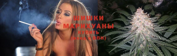 гашик Осинники