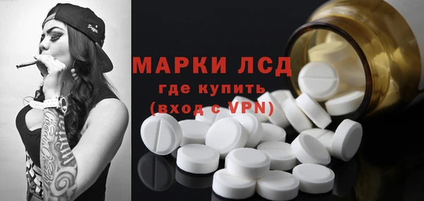 стаф Алексин