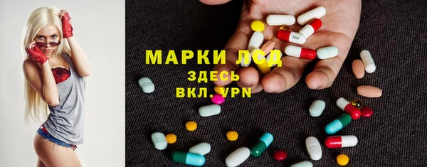 стаф Алексин