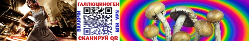 где продают наркотики  mega как войти  Псилоцибиновые грибы Psilocybine cubensis  Калининград 