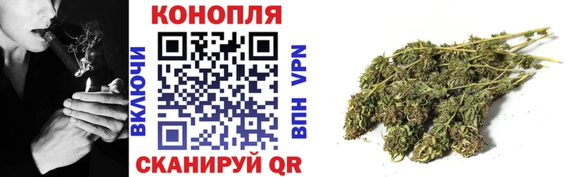 магазин    Калининград  Канабис гибрид 